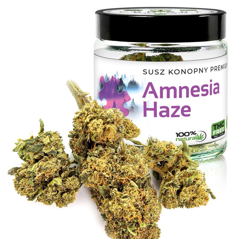 Susz Konopny Premium Amnesia Haze CBD