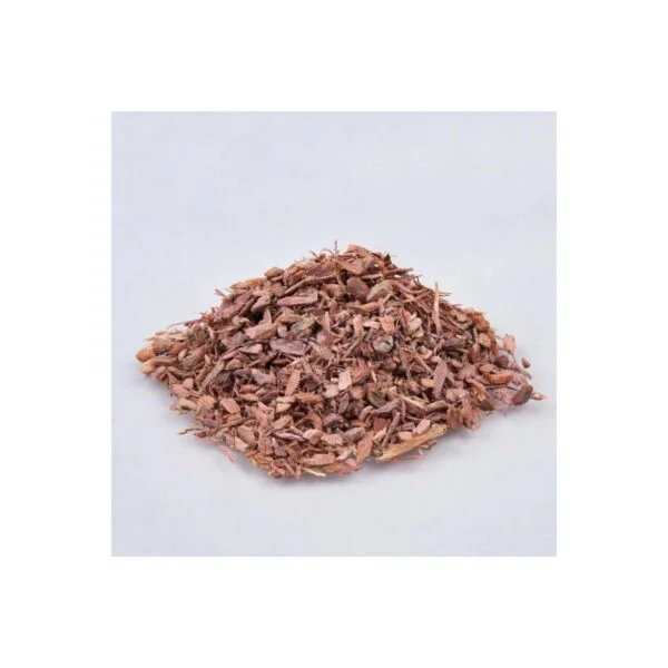 Arjuna kora cięta 50 g - obrazek 2