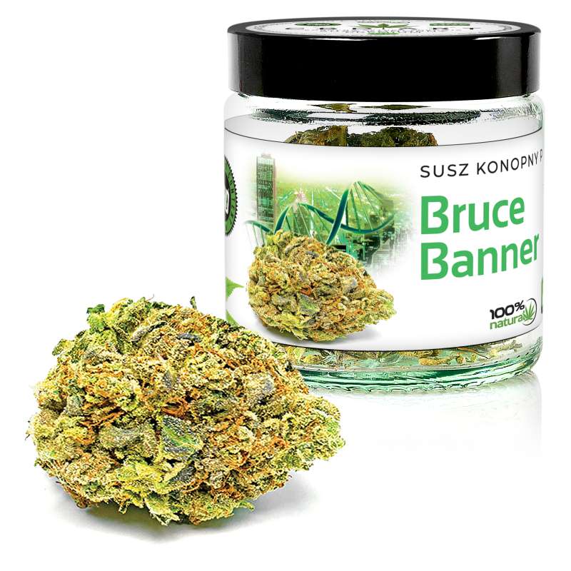 Susz konopny premium Bruce Banner CBD