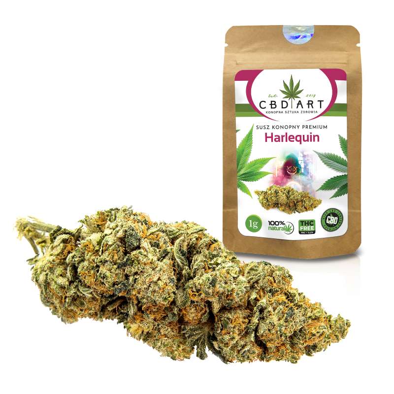 Susz konopny premium Harlequin CBD